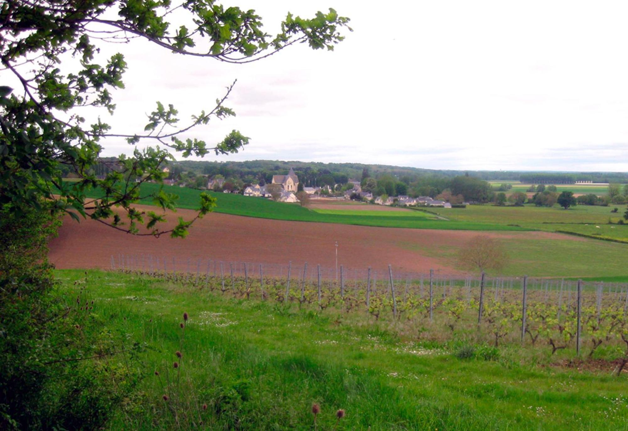 Bed and Breakfast La Butte De Gohier Blaison Exterior foto