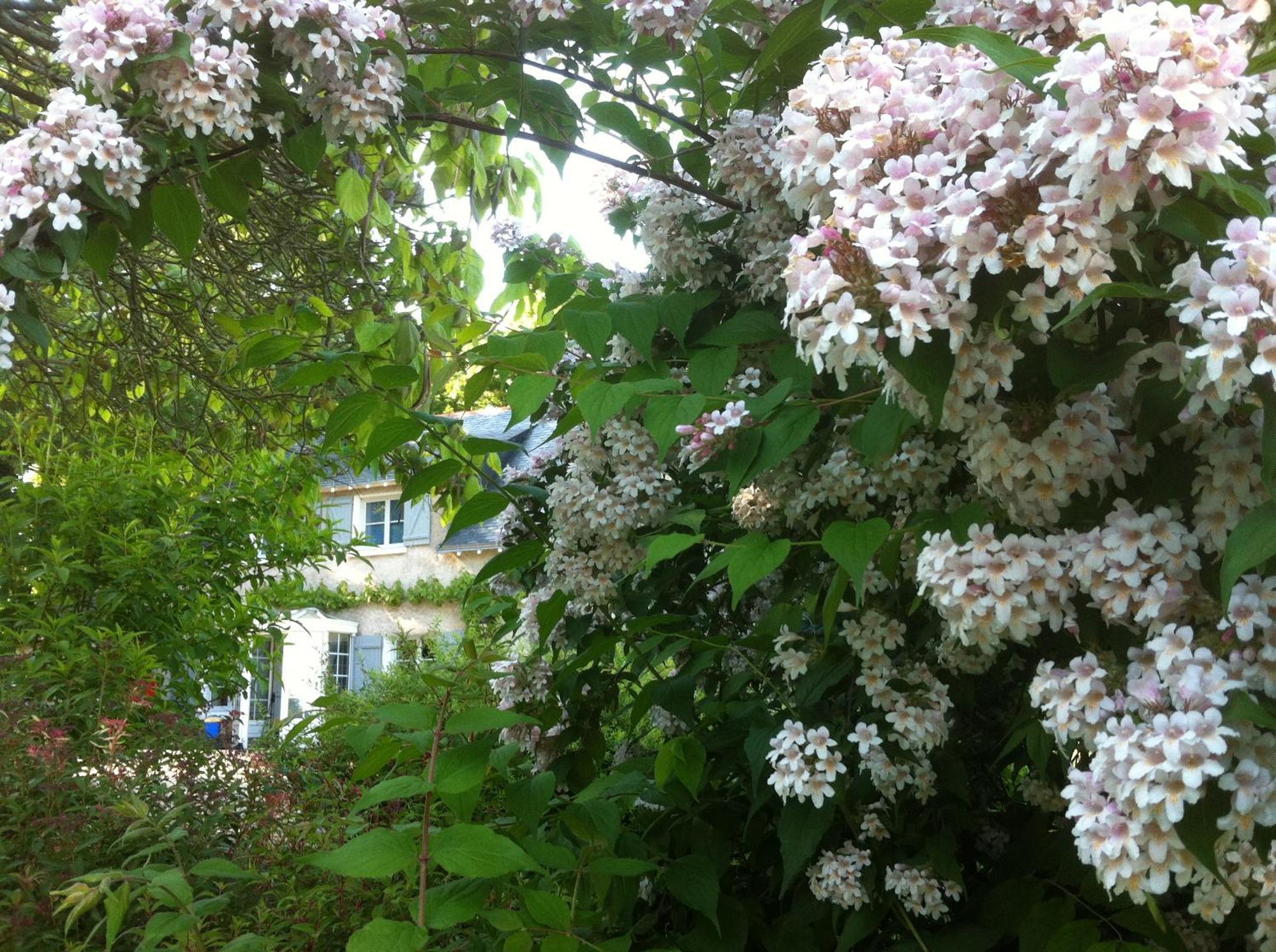 Bed and Breakfast La Butte De Gohier Blaison Exterior foto