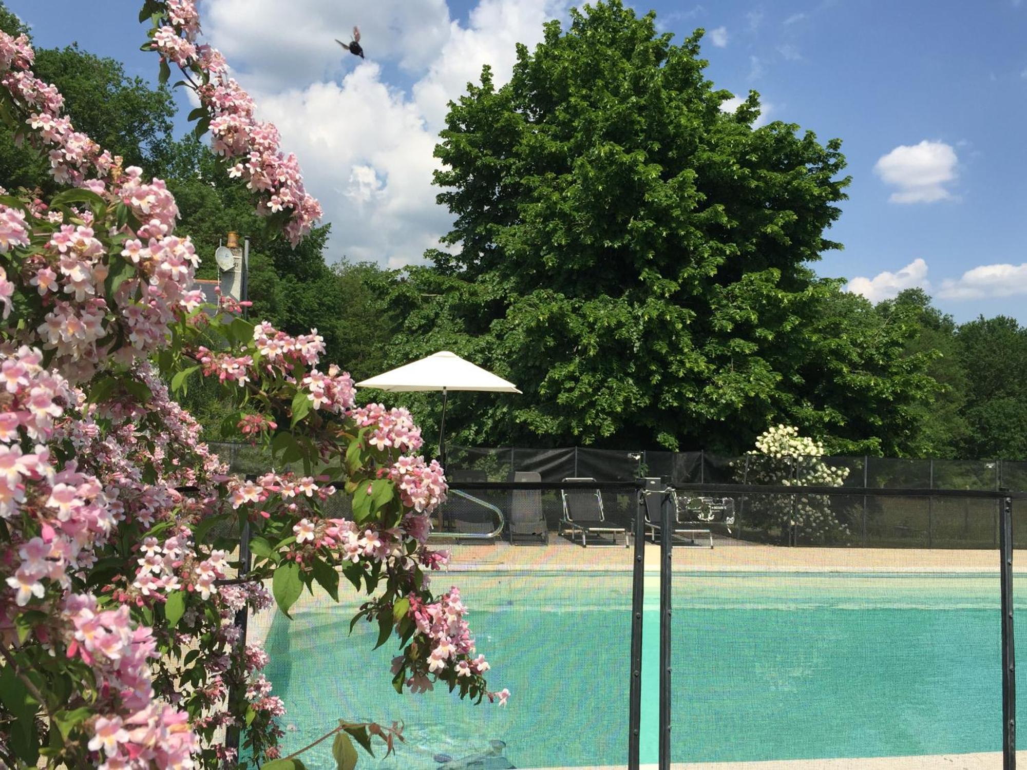 Bed and Breakfast La Butte De Gohier Blaison Exterior foto